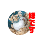 動物色々（個別スタンプ：9）
