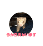 動物色々（個別スタンプ：14）