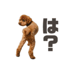動物色々（個別スタンプ：16）