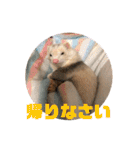 動物色々（個別スタンプ：19）