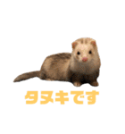 動物色々（個別スタンプ：24）