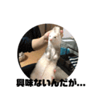 動物色々（個別スタンプ：26）