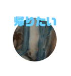 動物色々（個別スタンプ：28）