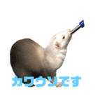 動物色々（個別スタンプ：34）