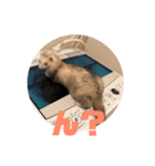 動物色々（個別スタンプ：35）