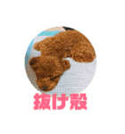 動物色々（個別スタンプ：36）