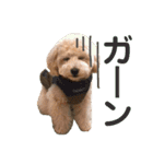 ラフくんの毎日②（個別スタンプ：4）