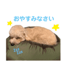 ラフくんの毎日②（個別スタンプ：6）