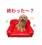 ラフくんの毎日②（個別スタンプ：7）
