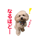 ラフくんの毎日②（個別スタンプ：8）