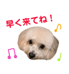 ラフくんの毎日②（個別スタンプ：10）