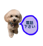 ラフくんの毎日②（個別スタンプ：11）