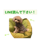 ラフくんの毎日②（個別スタンプ：15）