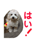 ラフくんの毎日②（個別スタンプ：22）