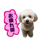 ラフくんの毎日②（個別スタンプ：24）