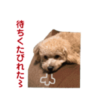 ラフくんの毎日②（個別スタンプ：32）