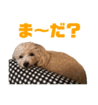 ラフくんの毎日②（個別スタンプ：34）