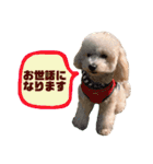 ラフくんの毎日②（個別スタンプ：40）