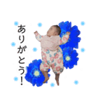 きなりちゃん（個別スタンプ：6）