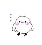 毎日ハッピーことりちゃん（個別スタンプ：13）