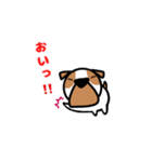 ぶさかわブルドッグごんざぶろう（個別スタンプ：13）
