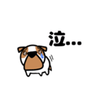 ぶさかわブルドッグごんざぶろう（個別スタンプ：14）