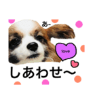 わんぱくさすけ（個別スタンプ：4）
