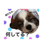 わんぱくさすけ（個別スタンプ：6）