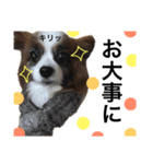 わんぱくさすけ（個別スタンプ：7）