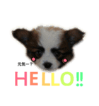 わんぱくさすけ（個別スタンプ：8）