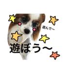 わんぱくさすけ（個別スタンプ：9）