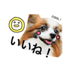 わんぱくさすけ（個別スタンプ：10）