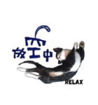 白くて黒い猫（個別スタンプ：5）