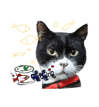 白くて黒い猫（個別スタンプ：6）