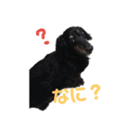 くきすたんぷ（個別スタンプ：6）