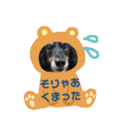 くきすたんぷ（個別スタンプ：8）