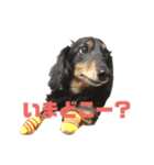 くきすたんぷ（個別スタンプ：9）