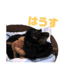 くきすたんぷ（個別スタンプ：10）