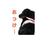 くきすたんぷ（個別スタンプ：17）