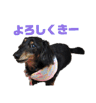 くきすたんぷ（個別スタンプ：18）