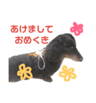 くきすたんぷ（個別スタンプ：32）