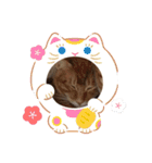ニャンズスタンプだよー（個別スタンプ：14）