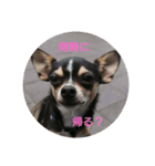 そぼろの日常（個別スタンプ：6）