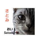 うちの猫 G.T.C（個別スタンプ：19）