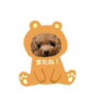 わんわんの日常❶（個別スタンプ：10）