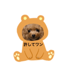 わんわんの日常❶（個別スタンプ：12）