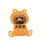 わんわんの日常❶（個別スタンプ：15）