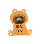 わんわんの日常❶（個別スタンプ：16）