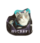 まんまる まめさん。（個別スタンプ：3）