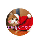 うちのちゃい君2（個別スタンプ：13）